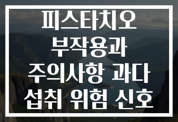 피스타치오 부작용과 주의사항 과다 섭취 위험 신호