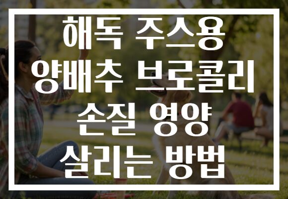 해독 주스용 양배추 브로콜리 손질 영양 살리는 방법 해독 주스용 양배추 브로콜리 손질 영양 살리는 방법