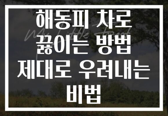 해동피 차로 끓이는 방법 제대로 우려내는 비법