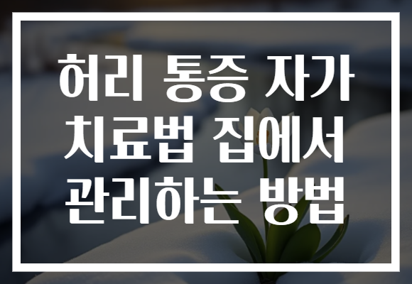 허리 통증 자가 치료법 집에서 관리하는 방법