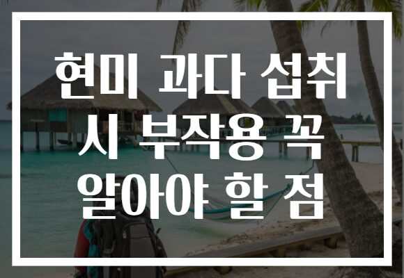 현미 과다 섭취 시 부작용 꼭 알아야 할 점