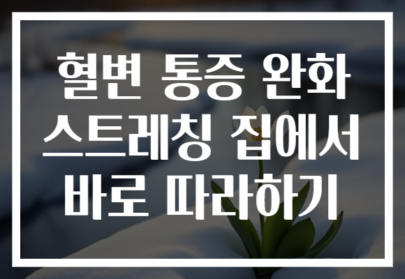혈변 통증 완화 스트레칭 집에서 바로 따라하기