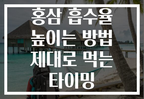 홍삼 흡수율 높이는 방법 제대로 먹는 타이밍 홍삼 흡수율 높이는 방법 제대로 먹는 타이밍