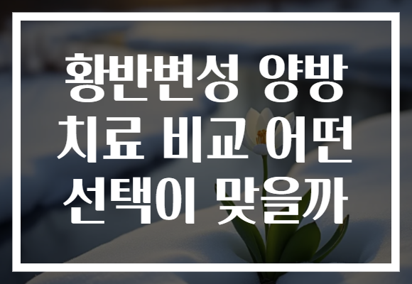 황반변성 양방 치료 비교 어떤 선택이 맞을까
