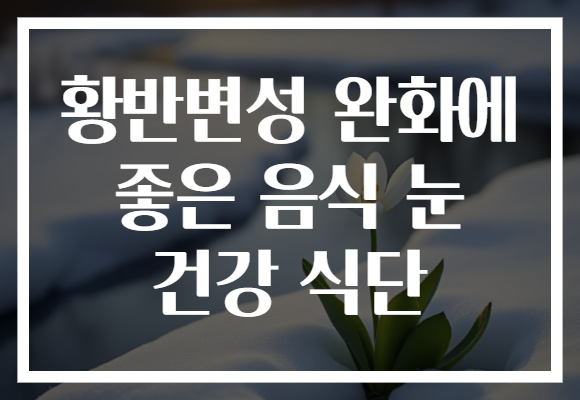 황반변성 완화에 좋은 음식 눈 건강 식단
