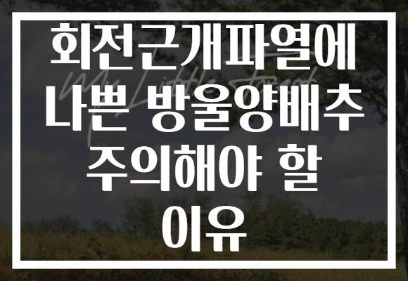 회전근개파열에 나쁜 방울양배추 주의해야 할 이유