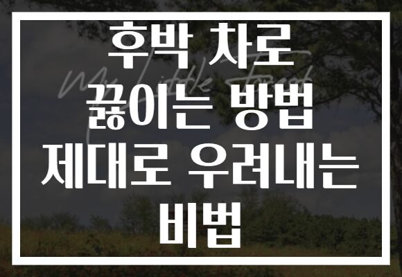후박 차로 끓이는 방법 제대로 우려내는 비법 후박 차로 끓이는 방법 제대로 우려내는 비법