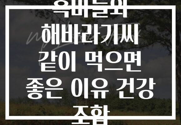 흑마늘와 해바라기씨 같이 먹으면 좋은 이유 건강 조합