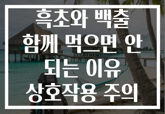 흑초와 백출 함께 먹으면 안 되는 이유 상호작용 주의 흑초와 백출 함께 먹으면 안 되는 이유 상호작용 주의