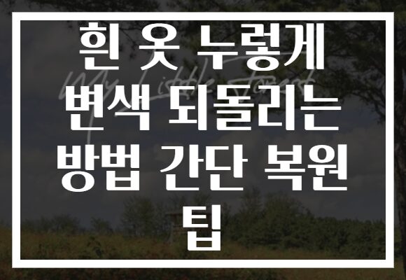 흰 옷 누렇게 변색 되돌리는 방법 간단 복원 팁 흰 옷 누렇게 변색 되돌리는 방법 간단 복원 팁