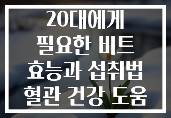 20대에게 필요한 비트 효능과 섭취법 혈관 건강 도움