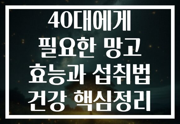 40대에게 필요한 망고 효능과 섭취법 건강 핵심정리 40대에게 필요한 망고 효능과 섭취법 건강 핵심정리