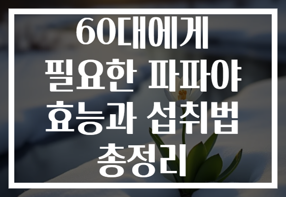 60대에게 필요한 파파야 효능과 섭취법 총정리 60대에게 필요한 파파야 효능과 섭취법 총정리