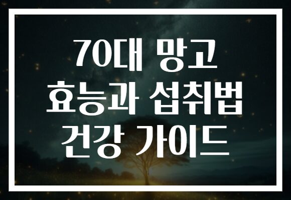 70대 망고 효능과 섭취법 건강 가이드