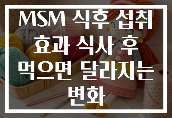 MSM 식후 섭취 효과 식사 후 먹으면 달라지는 변화 MSM 식후 섭취 효과 식사 후 먹으면 달라지는 변화
