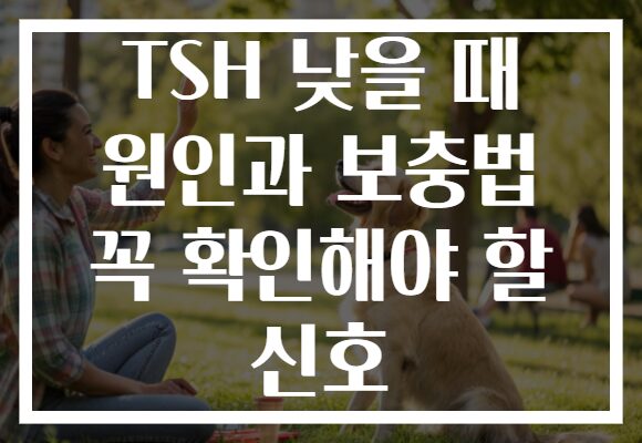 TSH 낮을 때 원인과 보충법 꼭 확인해야 할 신호 TSH 낮을 때 원인과 보충법 꼭 확인해야 할 신호