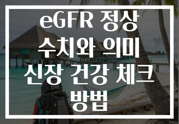 eGFR 정상 수치와 의미 신장 건강 체크 방법