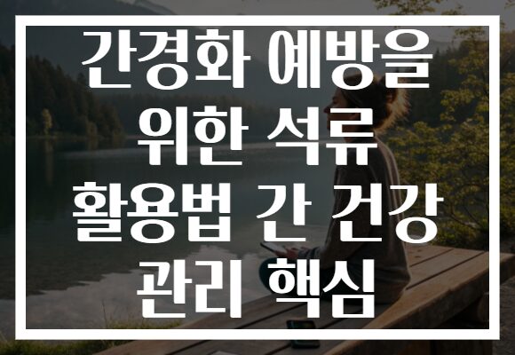 간경화 예방을 위한 석류 활용법 간 건강 관리 핵심 간경화 예방을 위한 석류 활용법 간 건강 관리 핵심