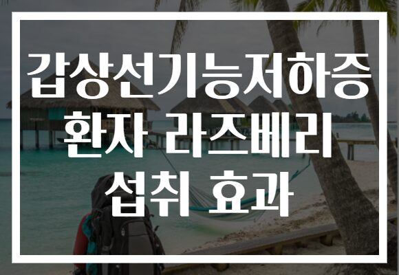 갑상선기능저하증 환자 라즈베리 섭취 효과