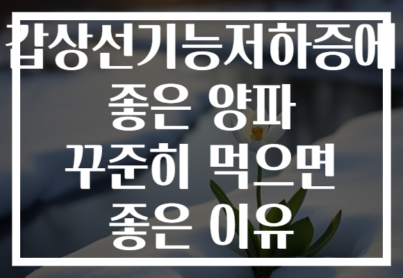 갑상선기능저하증에 좋은 양파 꾸준히 먹으면 좋은 이유