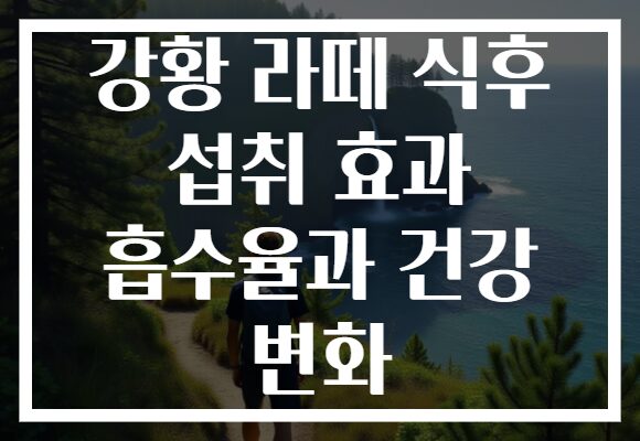 강황 라떼 식후 섭취 효과 흡수율과 건강 변화