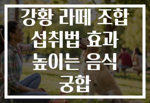 강황 라떼 조합 섭취법 효과 높이는 음식 궁합 강황 라떼 조합 섭취법 효과 높이는 음식 궁합