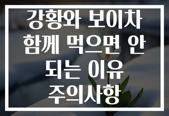 강황와 보이차 함께 먹으면 안 되는 이유 주의사항
