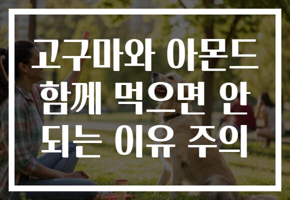 고구마와 아몬드 함께 먹으면 안 되는 이유 주의