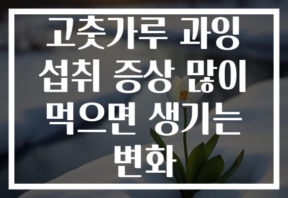 고춧가루 과잉 섭취 증상 많이 먹으면 생기는 변화