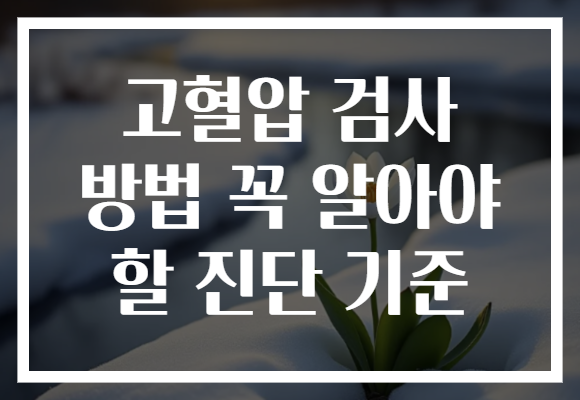 고혈압 검사 방법 꼭 알아야 할 진단 기준 고혈압 검사 방법 꼭 알아야 할 진단 기준