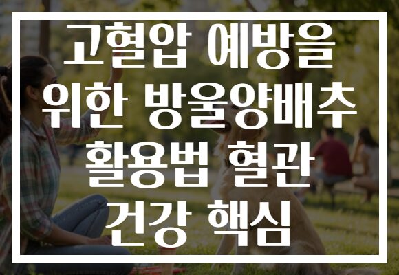 고혈압 예방을 위한 방울양배추 활용법 혈관 건강 핵심 고혈압 예방을 위한 방울양배추 활용법 혈관 건강 핵심