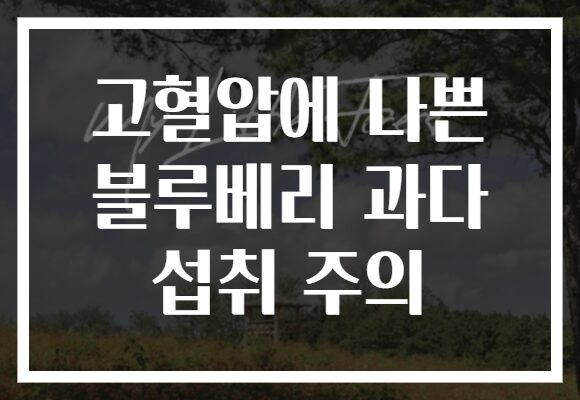 고혈압에 나쁜 블루베리 과다 섭취 주의