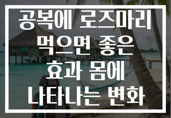 공복에 로즈마리 먹으면 좋은 효과 몸에 나타나는 변화