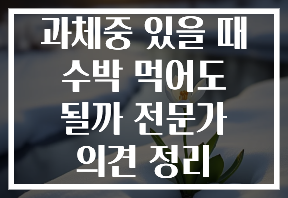 과체중 있을 때 수박 먹어도 될까 전문가 의견 정리 과체중 있을 때 수박 먹어도 될까 전문가 의견 정리