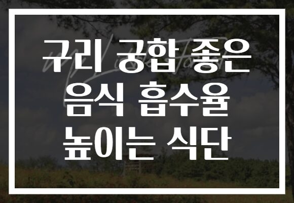 구리 궁합 좋은 음식 흡수율 높이는 식단