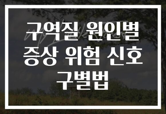 구역질 원인별 증상 위험 신호 구별법