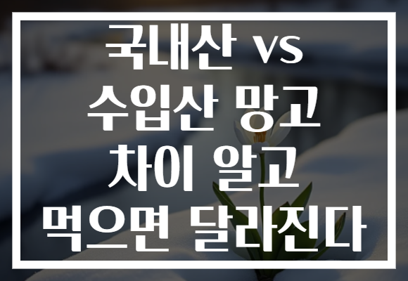 국내산 vs 수입산 망고 차이 알고 먹으면 달라진다 국내산 vs 수입산 망고 차이 알고 먹으면 달라진다