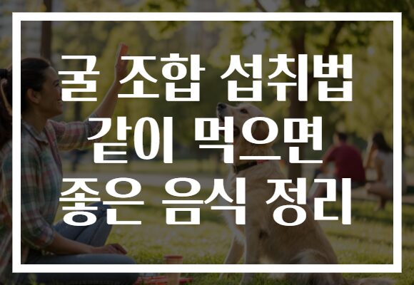 굴 조합 섭취법 같이 먹으면 좋은 음식 정리 굴 조합 섭취법 같이 먹으면 좋은 음식 정리