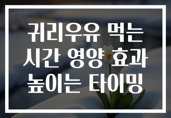 귀리우유 먹는 시간 영양 효과 높이는 타이밍