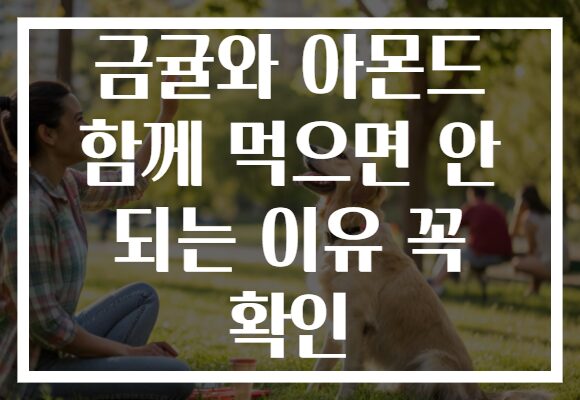 금귤와 아몬드 함께 먹으면 안 되는 이유 꼭 확인 금귤와 아몬드 함께 먹으면 안 되는 이유 꼭 확인