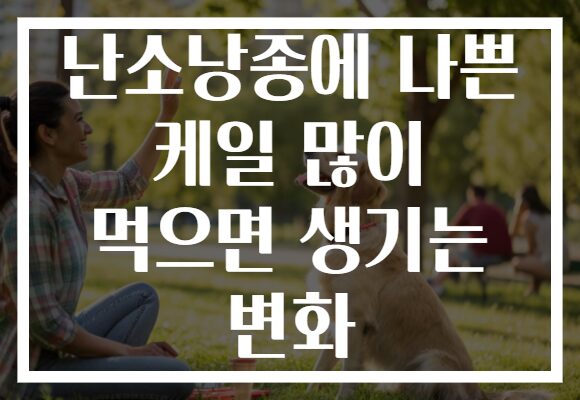 난소낭종에 나쁜 케일 많이 먹으면 생기는 변화 난소낭종에 나쁜 케일 많이 먹으면 생기는 변화