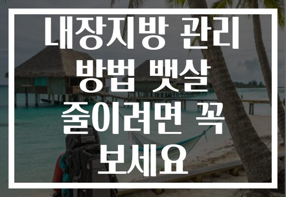 내장지방 관리 방법 뱃살 줄이려면 꼭 보세요
