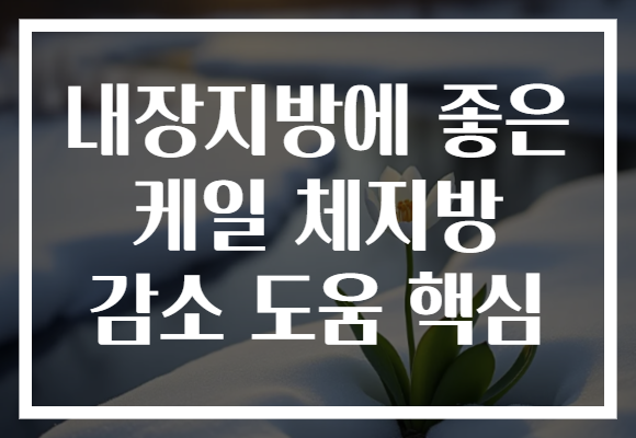 내장지방에 좋은 케일 체지방 감소 도움 핵심 내장지방에 좋은 케일 체지방 감소 도움 핵심