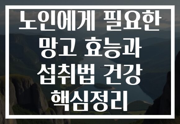 노인에게 필요한 망고 효능과 섭취법 건강 핵심정리