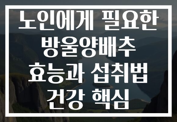 노인에게 필요한 방울양배추 효능과 섭취법 건강 핵심 노인에게 필요한 방울양배추 효능과 섭취법 건강 핵심