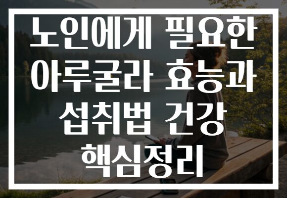 노인에게 필요한 아루굴라 효능과 섭취법 건강 핵심정리 노인에게 필요한 아루굴라 효능과 섭취법 건강 핵심정리