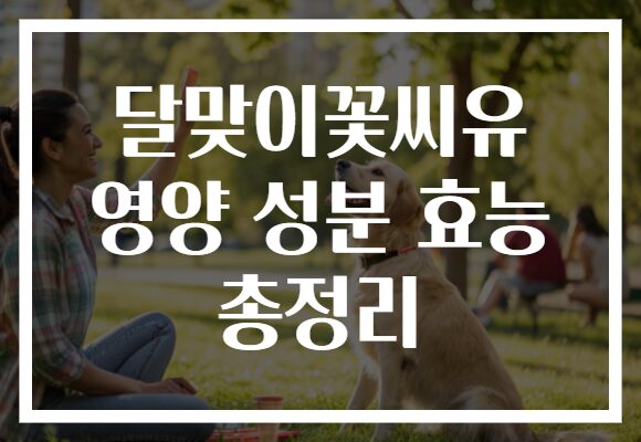 달맞이꽃씨유 영양 성분 효능 총정리