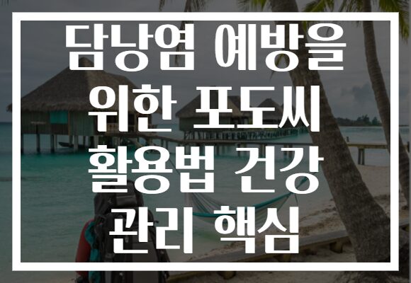 담낭염 예방을 위한 포도씨 활용법 건강 관리 핵심 담낭염 예방을 위한 포도씨 활용법 건강 관리 핵심