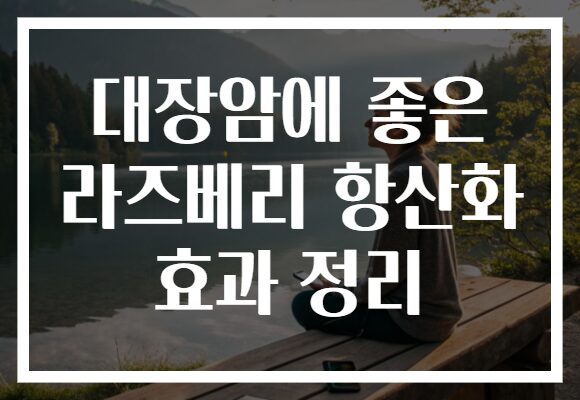 대장암에 좋은 라즈베리 항산화 효과 정리