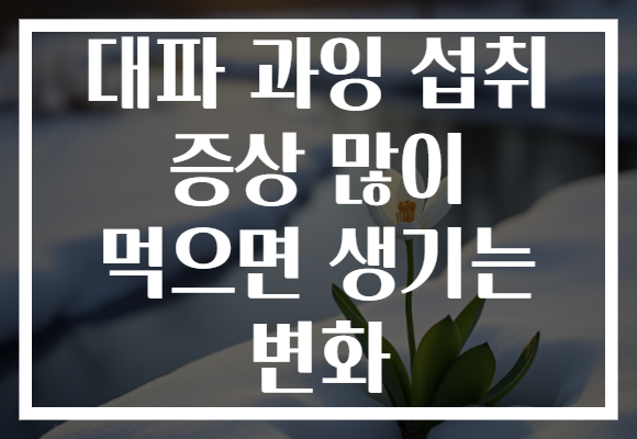 대파 과잉 섭취 증상 많이 먹으면 생기는 변화 대파 과잉 섭취 증상 많이 먹으면 생기는 변화